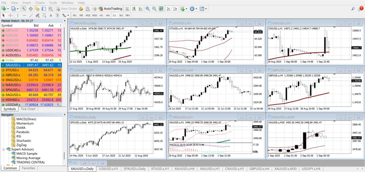 Charts in a Nine-grid Layout