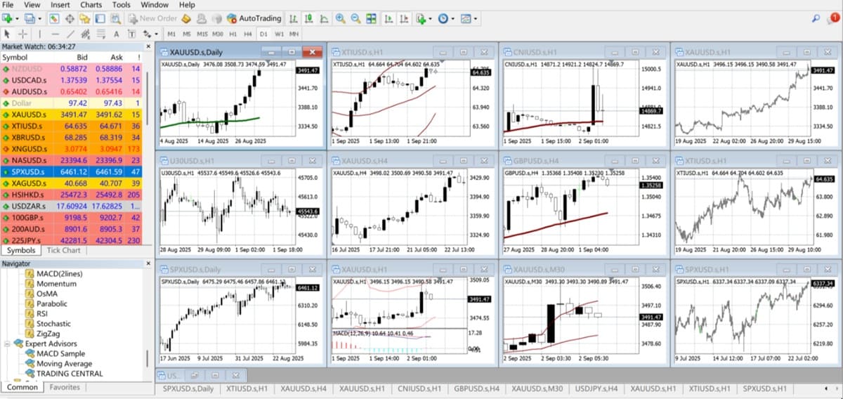 Charts in a Twelve-grid Layout