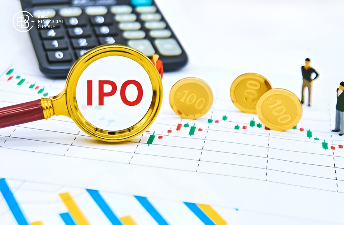 Initial Public Offering