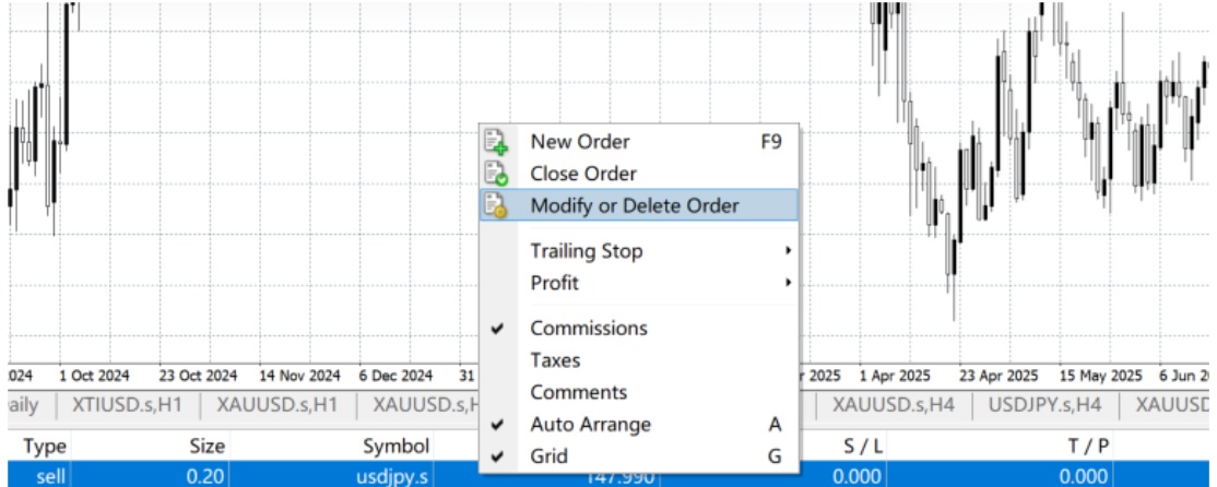 How to Modify or Delete Order