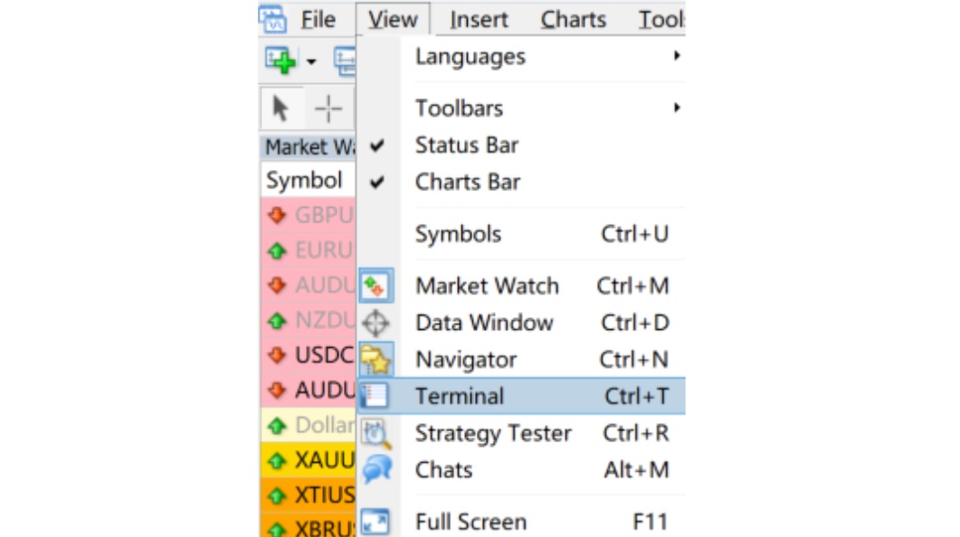 The Terminal Option