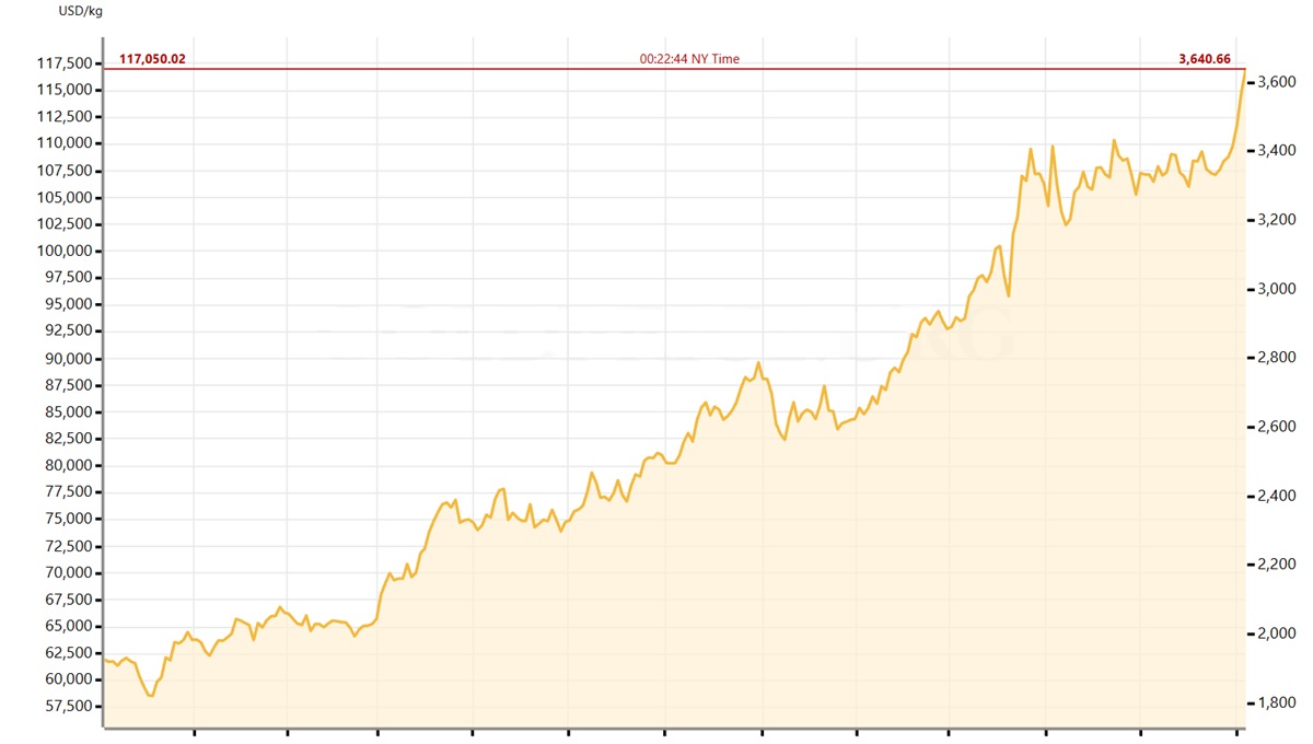 Gold Price over the Last Two Years