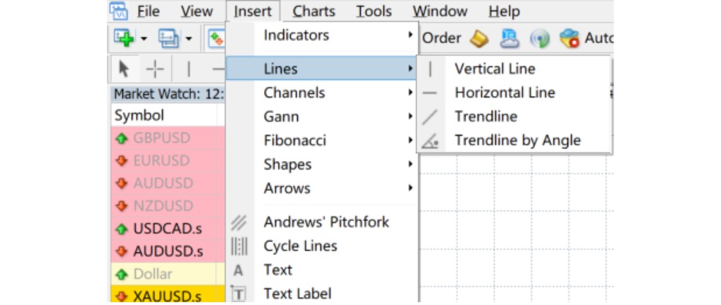The Lines Option