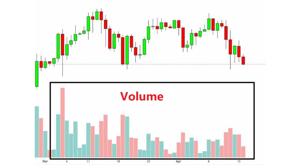 The Volume Indicator
