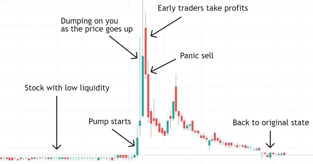 Pump-and-Dump Schemes