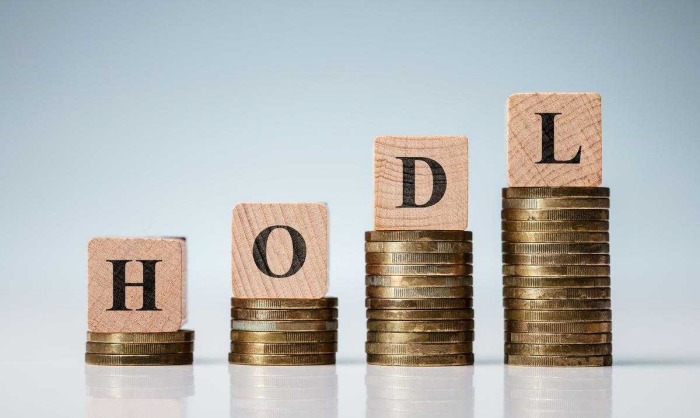 What Is HODL