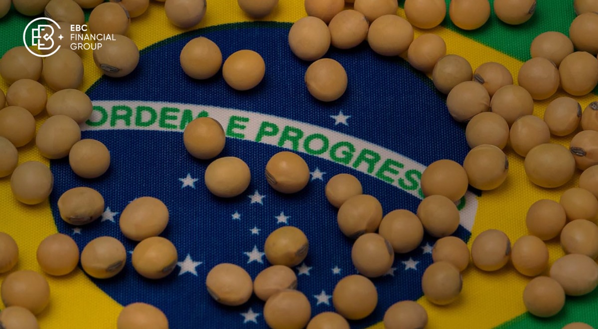 大豆とブラジル国旗