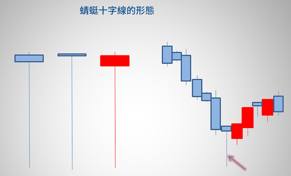 蜻蜓十字線形態 蜻蜓十字線形態