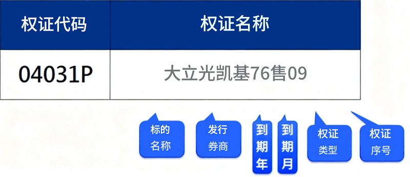 权证名称与代码