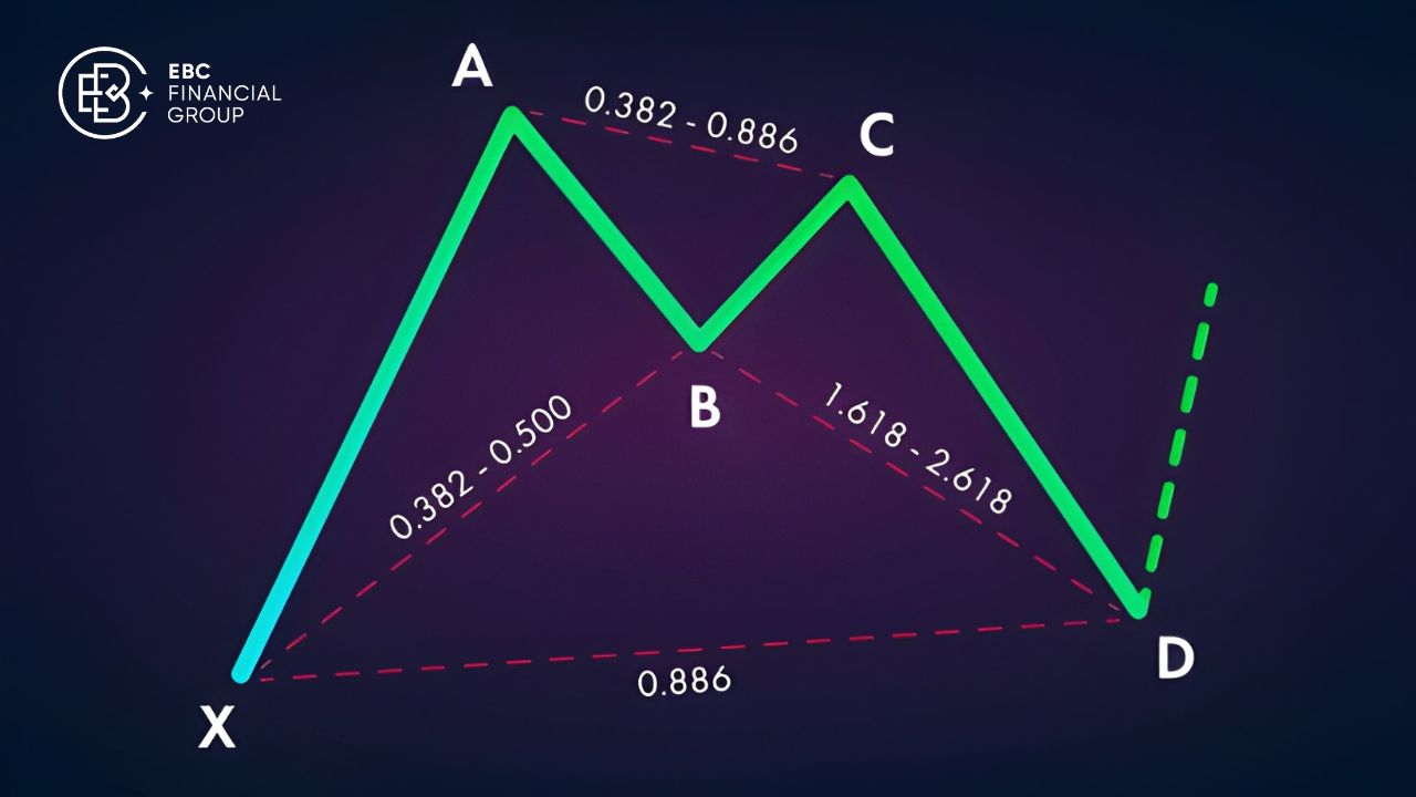 Mô hình Harmonic nâng cao Bat