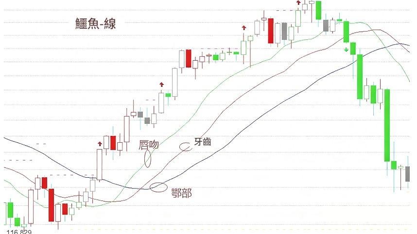 鱷魚線(Alligator Indicator) 鱷魚線(Alligator Indicator)