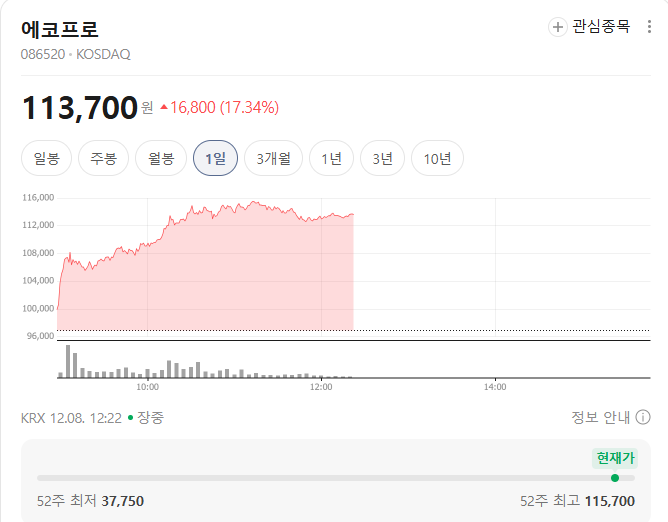 에코프로 주가 차트 (출처=네이버) 에코프로 주가 차트 (출처=네이버)