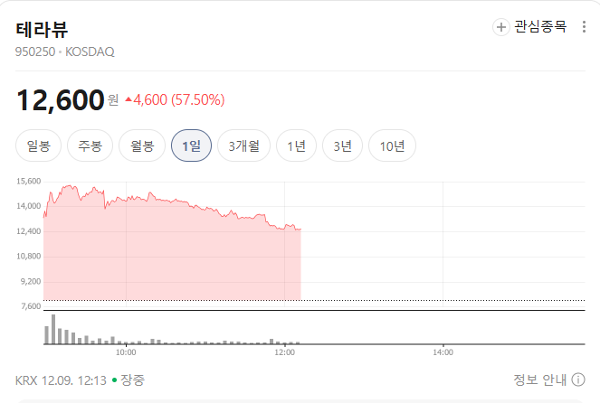 테라뷰 주가 차트(출처=네이버) 테라뷰 주가 차트(출처=네이버)