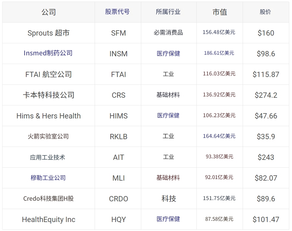 罗素2000指数前十成分股（截止到25年7月）