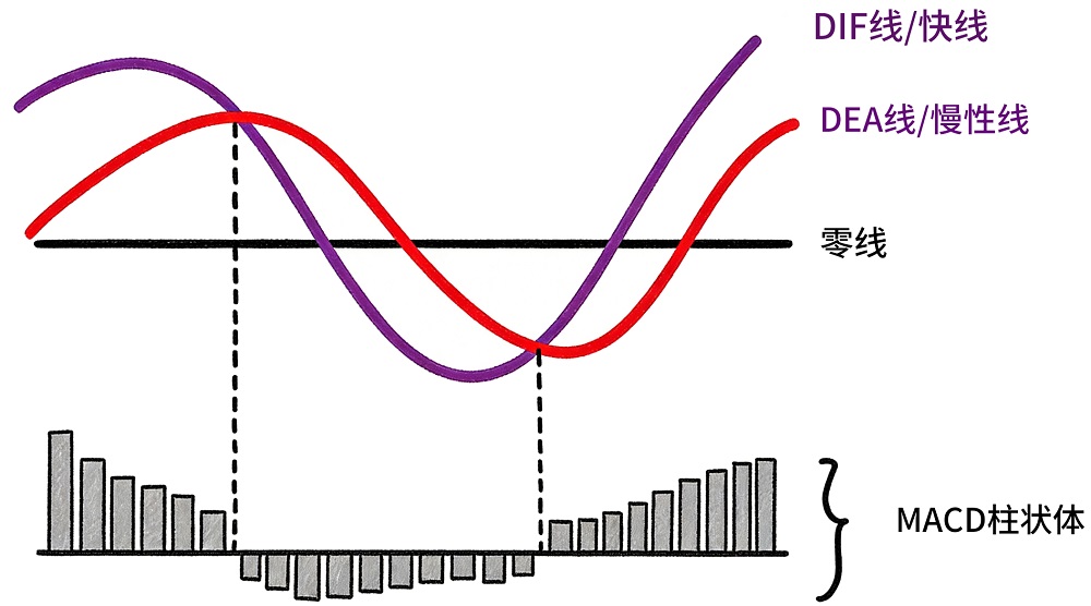 MACD的构成：快线、慢线、柱状体