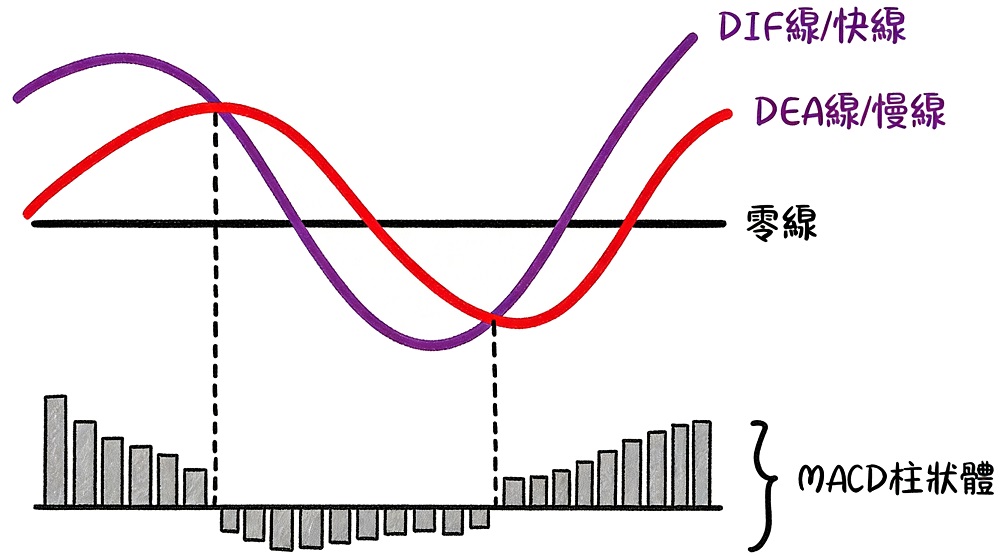 MACD的構成：快線、慢線、柱狀圖
