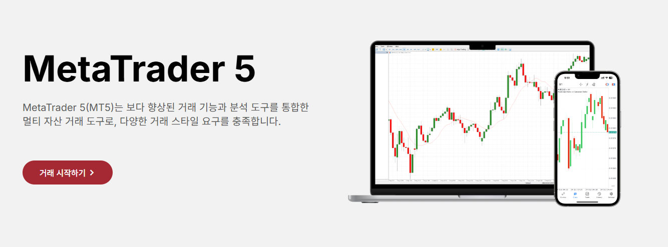 MT5 소개