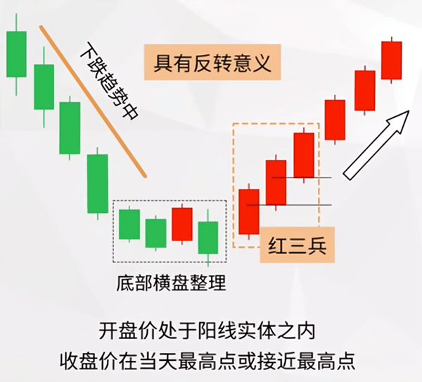 红三兵形态特征