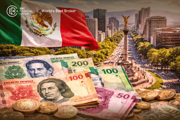 金融焦点封面pc-EN (12) (1).png