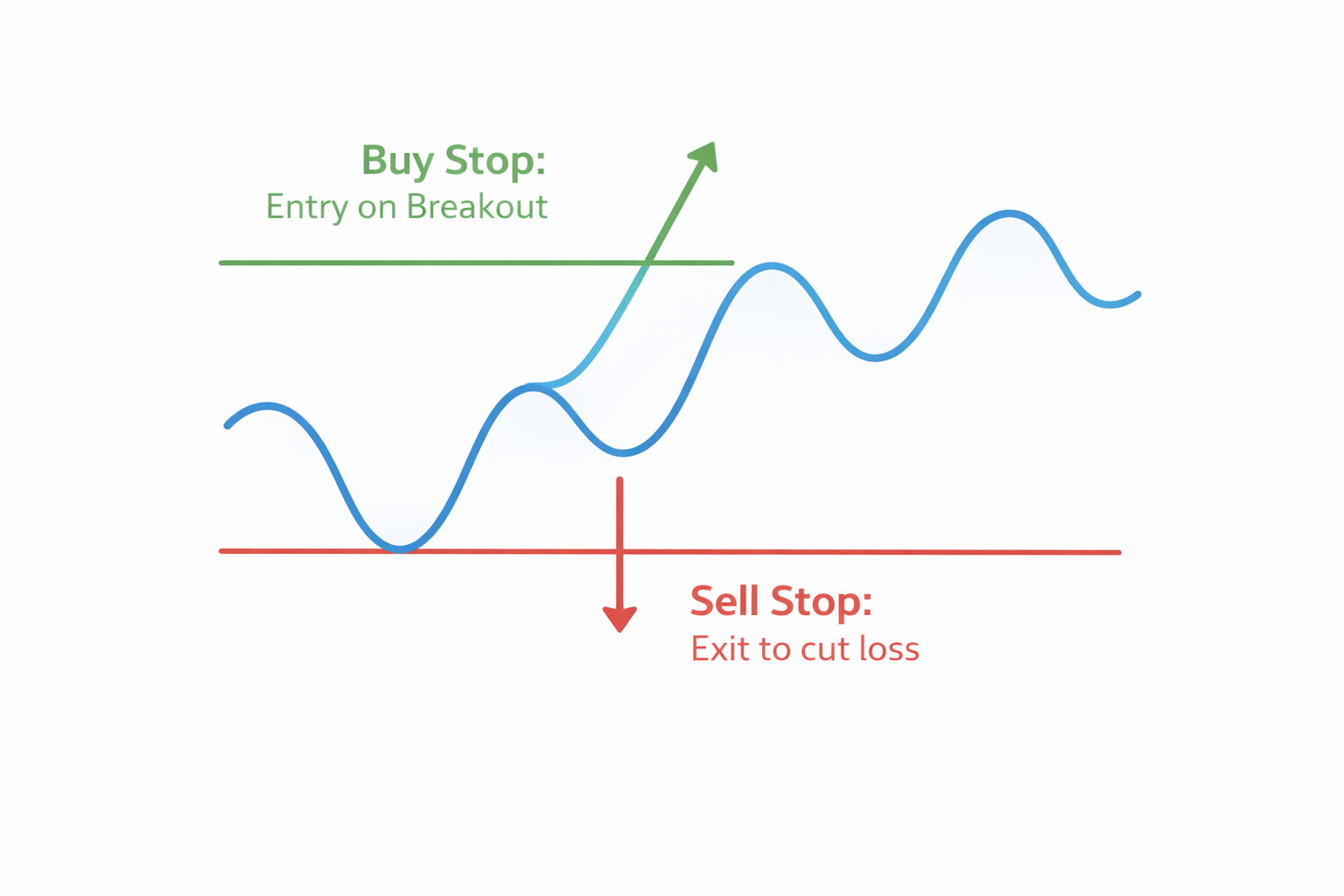 ChatGPT Image Mar 12, 2026, 06_54_34 PM.png