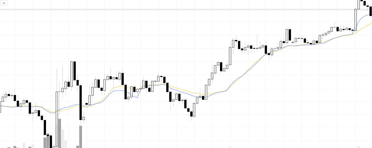 이평선과 거래량가중이동평균선 차이