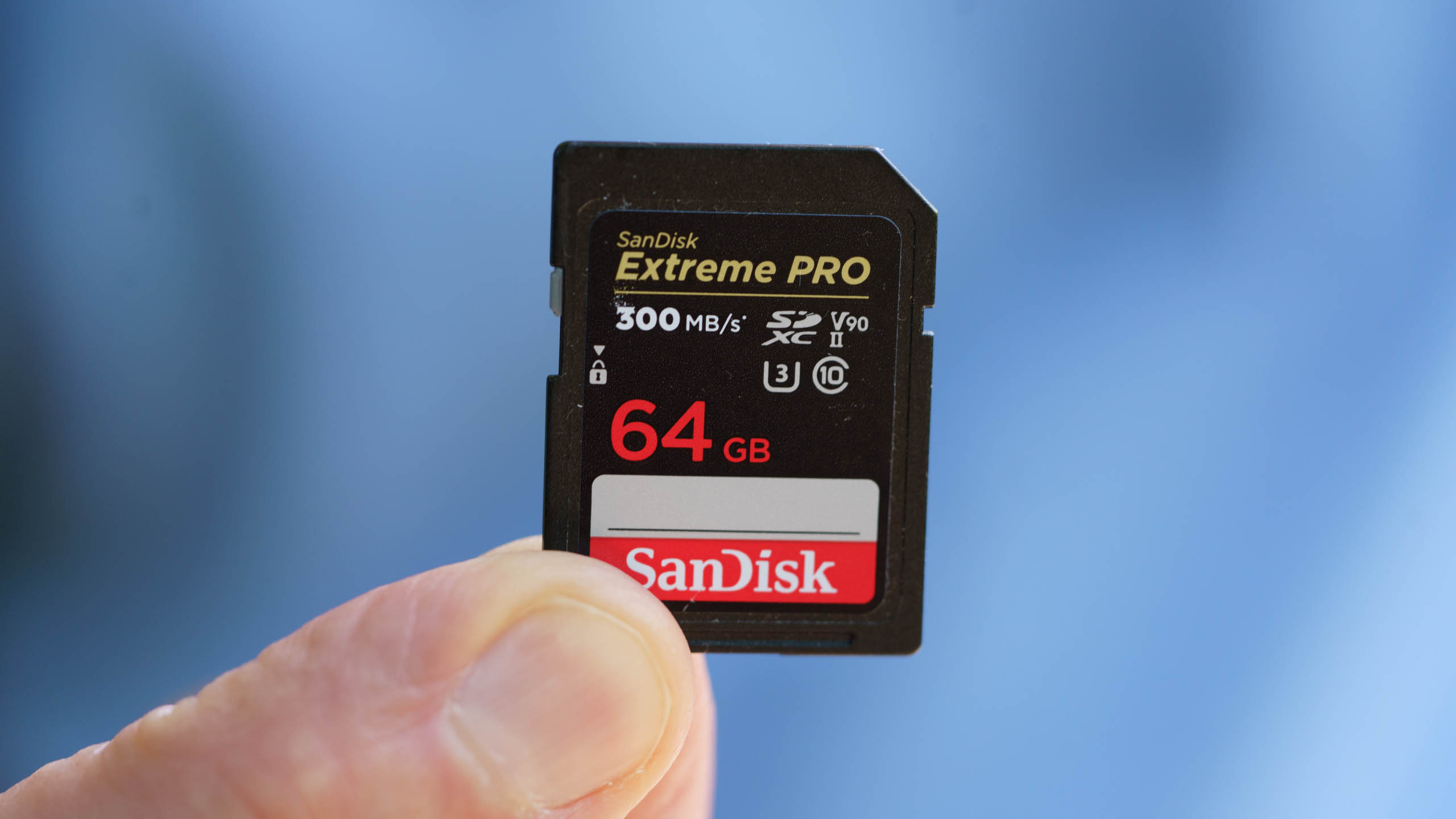 Sandisk Stock Going Up