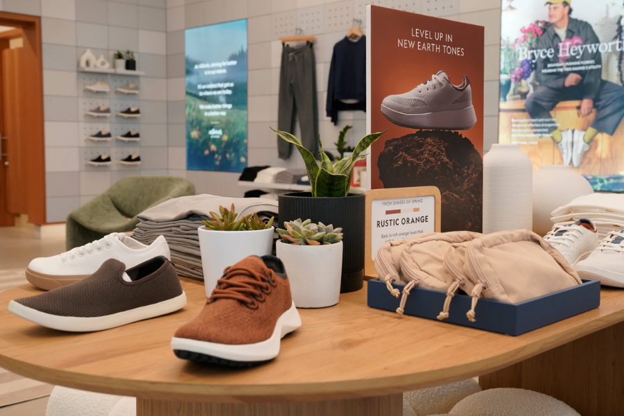 Pivote de IA de las acciones de Allbirds Allbirds Stock AI Pivot
