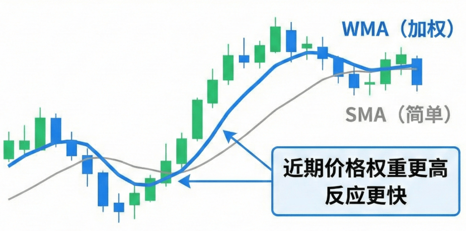 WMA是什么