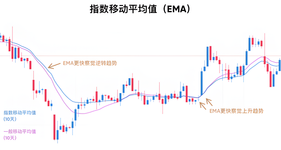 EMA是什么