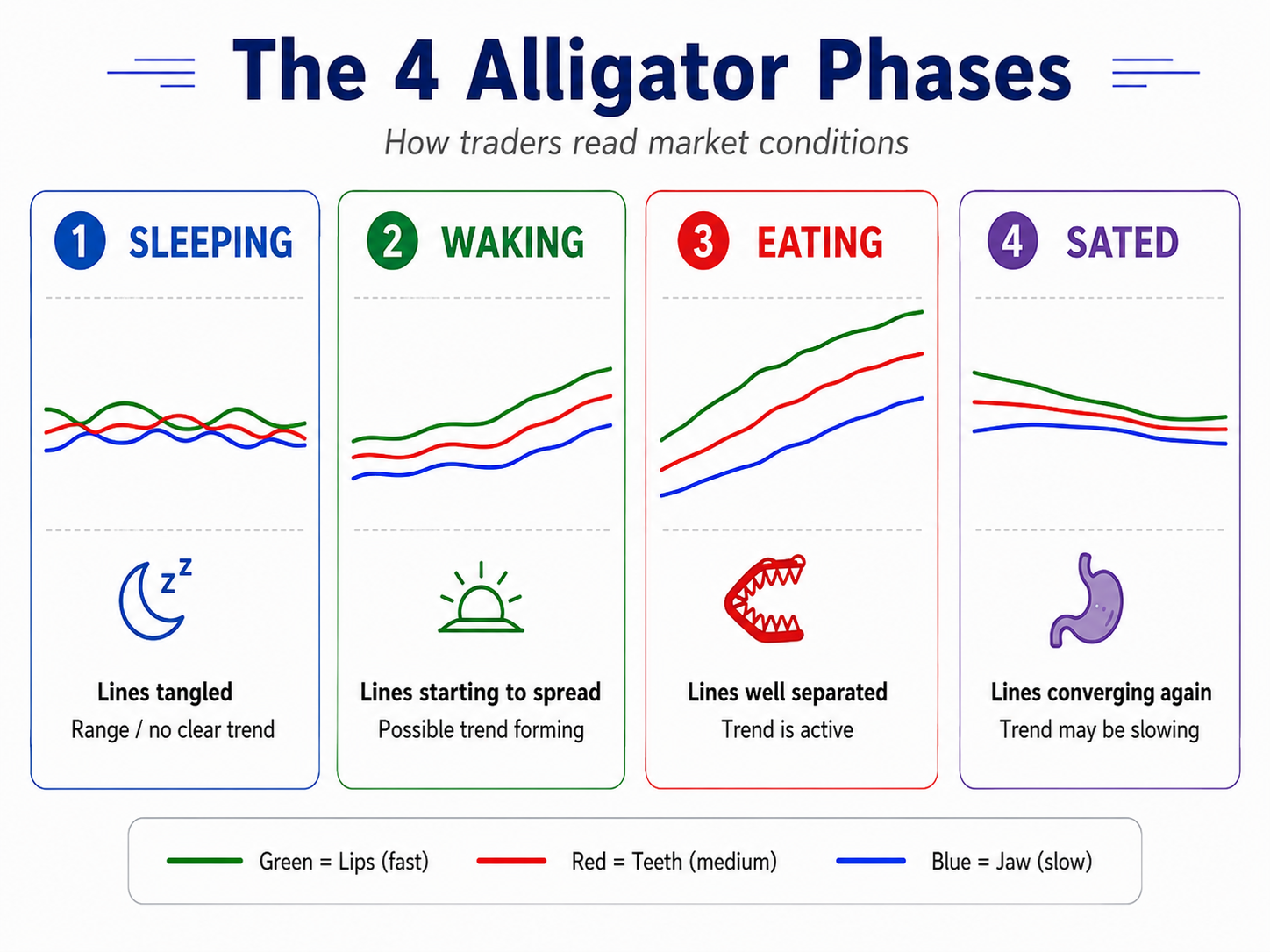 Alligator Indicator 4 phases.png Alligator Indicator 4 phases.png