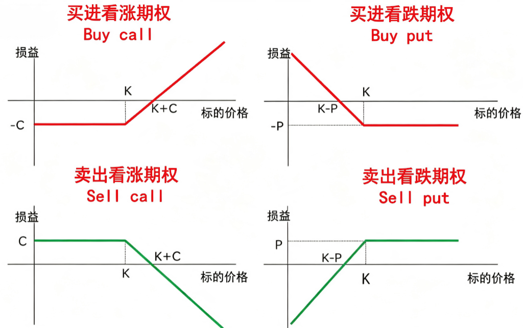 美股期权 美股期权