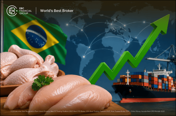 Exportações de frango do Brasil devem crescer 10,3%