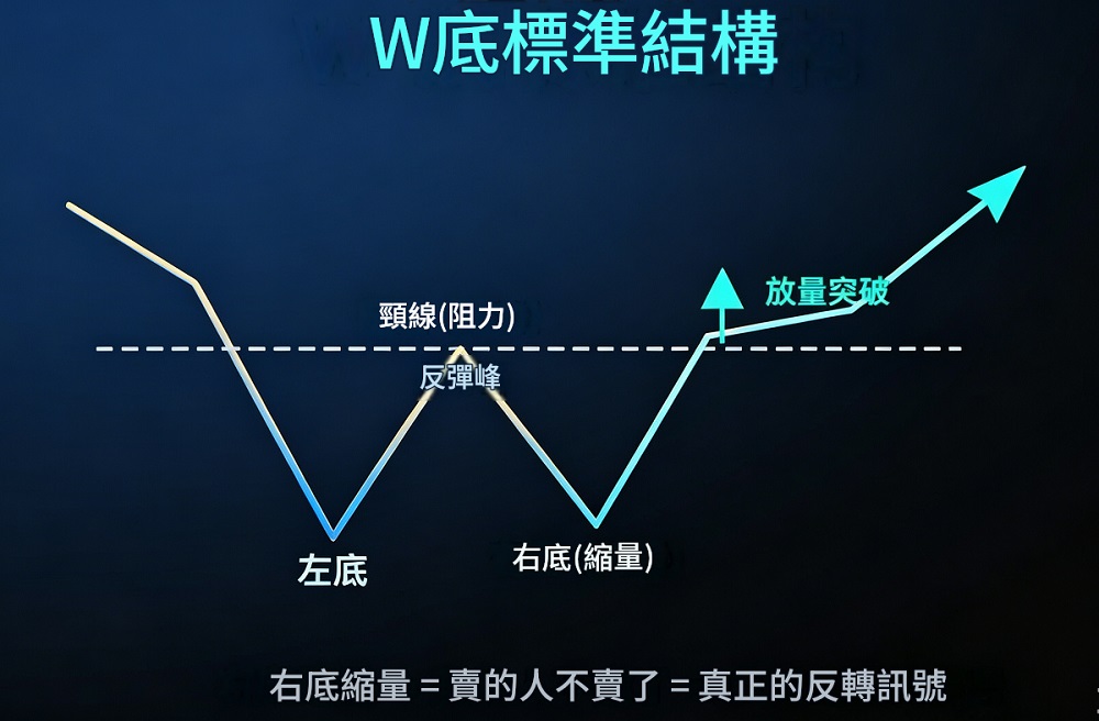 W底(雙底)標準結構 W底(雙底)標準結構