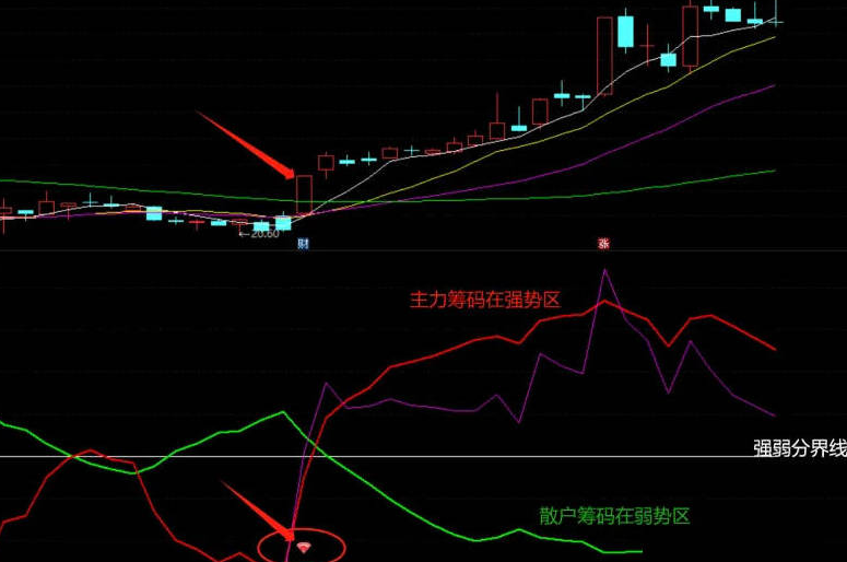 主力筹码怎么看