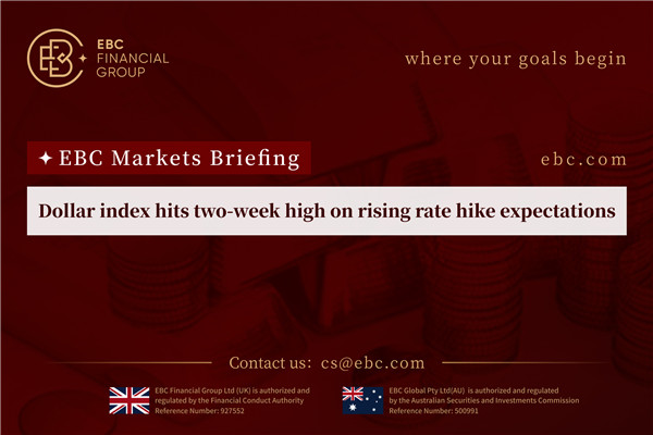 Dollar index hits two-week high on rising rate hike expectations