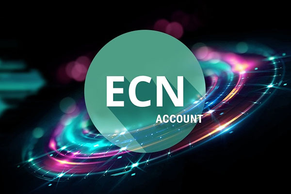 STP и ECN - Различия и варианты счетов