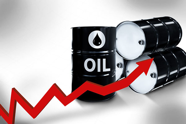 WTI原油成功反弹 美国原油库存增加拖累油价