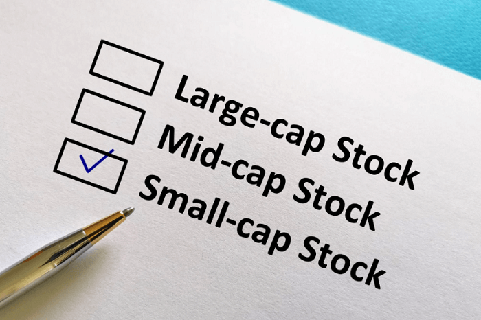 Small Cap Stocks Investment Analysis and Risk Assessment