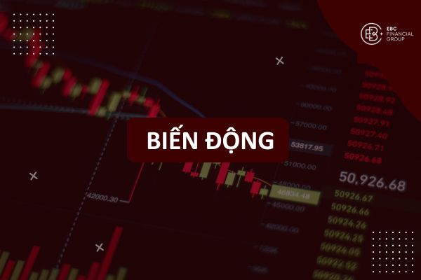 Biến động giá là gì? Nguyên nhân, ảnh hưởng và ứng dụng trong Forex