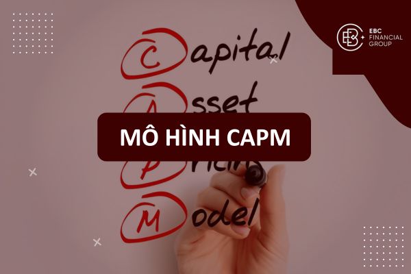 Mô hình CAPM là gì? Cách tính RM, lợi tức kỳ vọng, lãi suất phi rủi ro, phần bù rủi ro