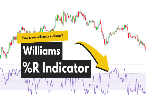 Williams %R: Полное пошаговое руководство