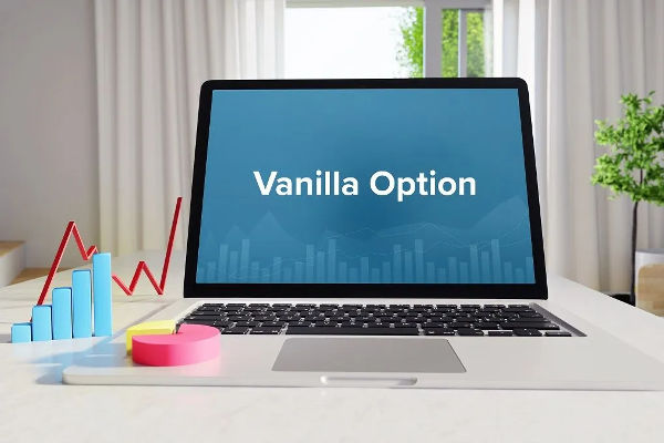 Что такое ванильные опции и как они работают?