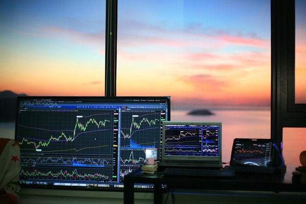 เจาะลึกแพทเทิร์น Forex ด้วย Shark Pattern