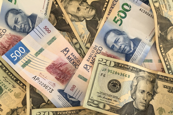 Previsão do Dólar para o Peso: O que Esperar Até 2030
