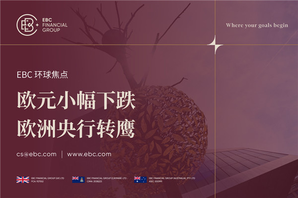 欧元小幅下跌 欧洲央行转鹰
