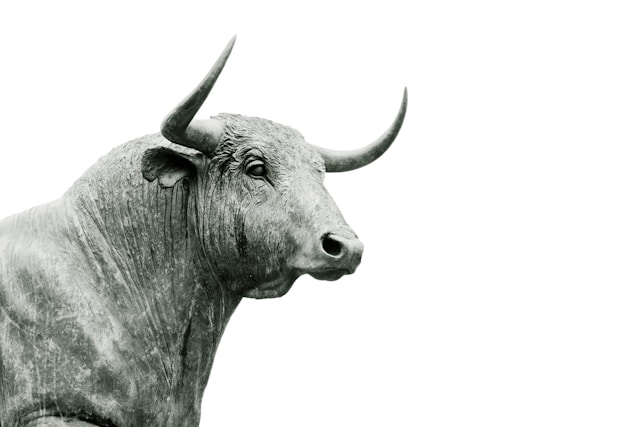 Bullish คืออะไร? เทคนิคจับสัญญาณตลาดขาขึ้นแบบมือโปร