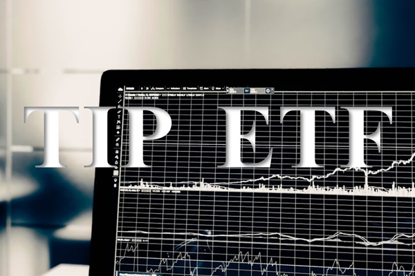 Por qué el ETF TIP podría ser su mejor defensa contra la inflación