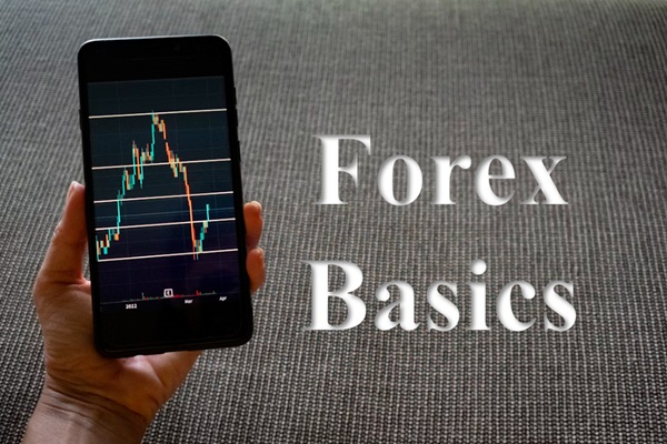 What Are Forex Basics and How Do They Work in Trading