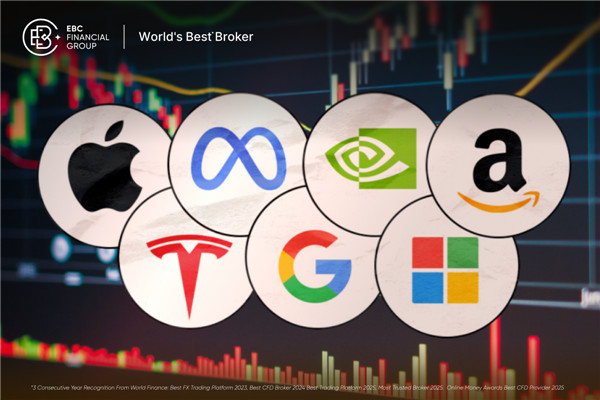 7 الرائعة تستمر في التألق
