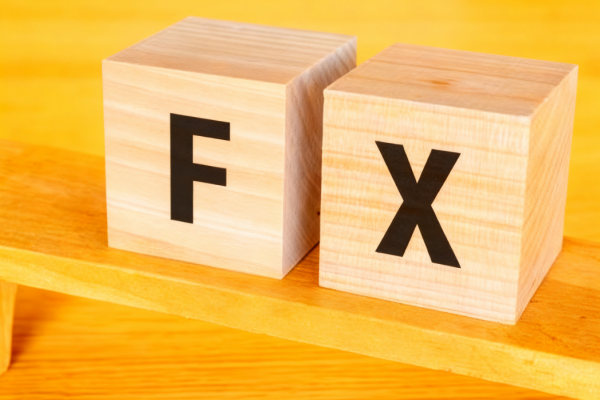 FX是什么:观察全球经济、优化决策的新窗口